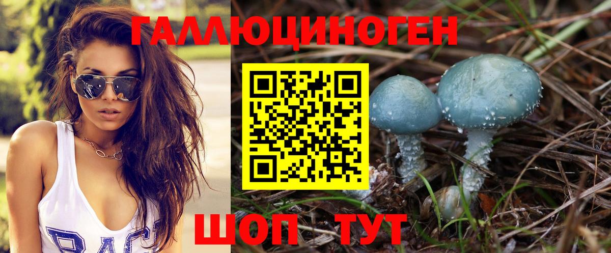 Псилоцибиновые грибы мицелий Партизанск